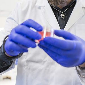 Gloved hands holding specimen in lab